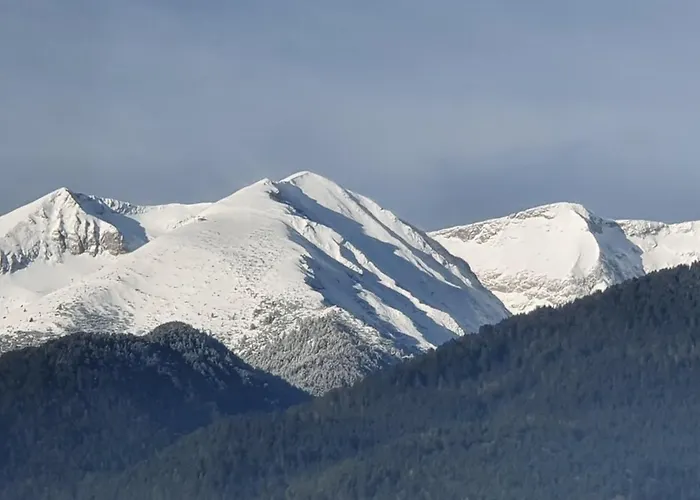 Simonen Near The Gondola *